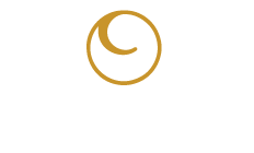 Verifi Logo